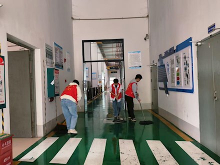 青春志愿行 劳动践初心